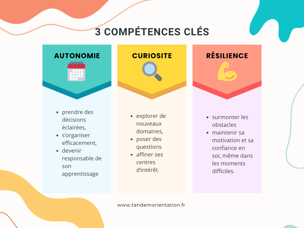 Blog_3_competences_cles